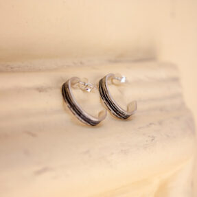 Rays Moon Hoops S